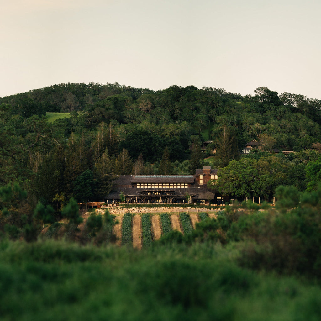 Joseph Phelps Red Wine Insignia Napa Valley (2)