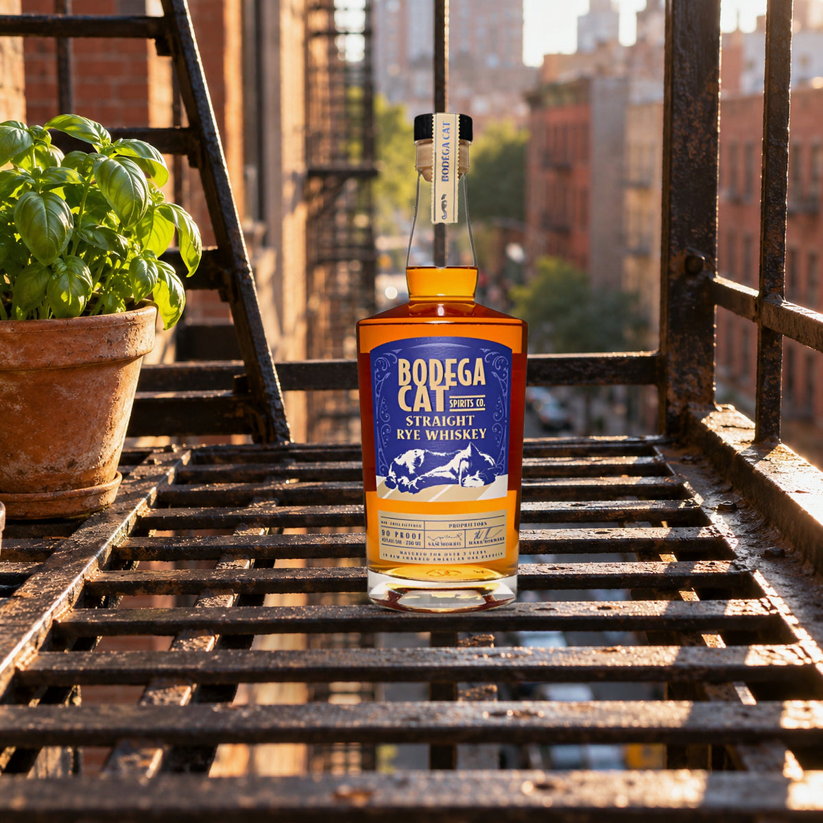 Bodega Cat Straight Rye Whiskey fire escape