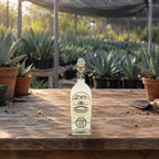 Fortaleza Blanco Tequila agave nursery