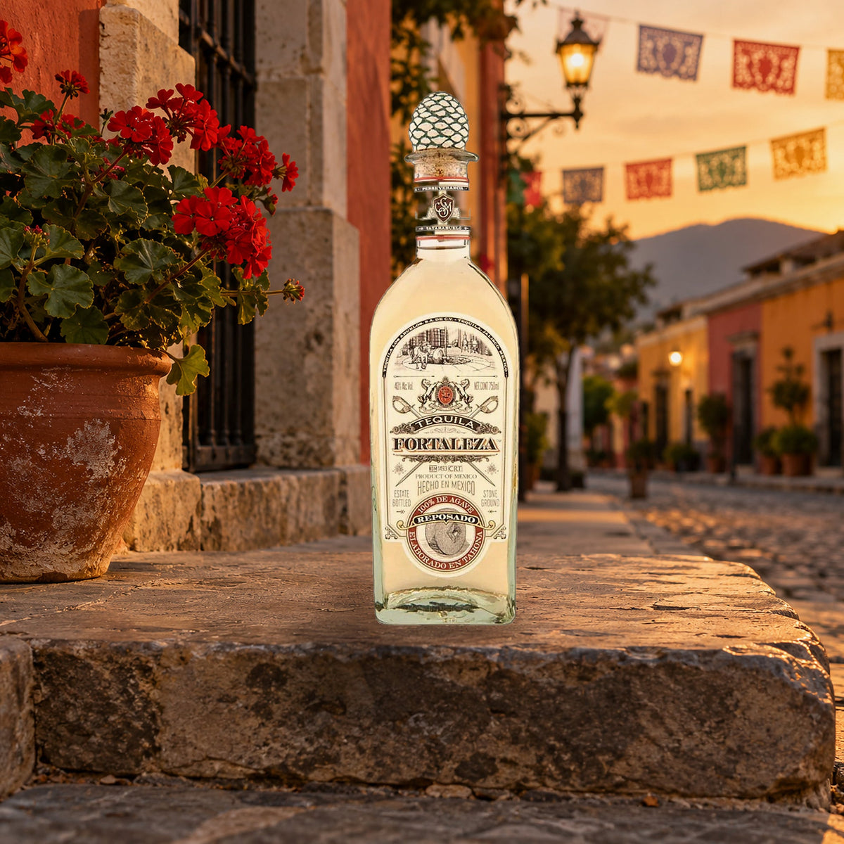 Fortaleza Reposado Tequila 700mL tequila town street